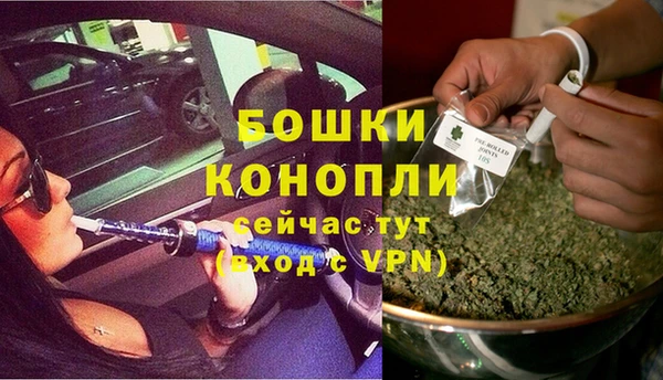 молекула духа Алзамай